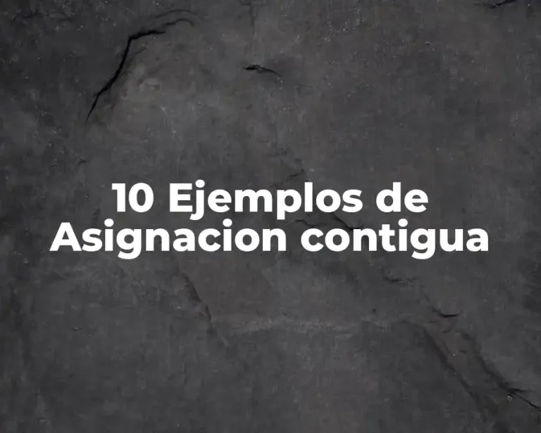 10 Ejemplos de Asignacion contigua