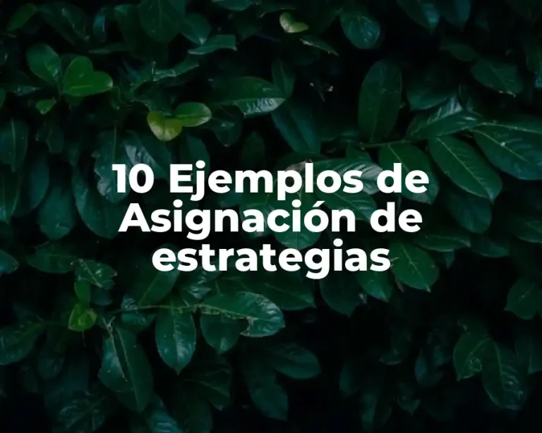 10 Ejemplos de Asignación de estrategias