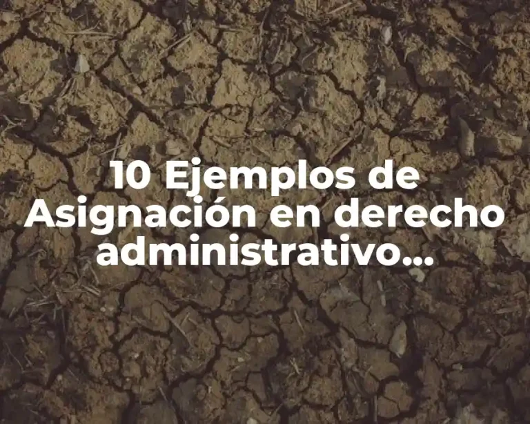 10 Ejemplos de Asignación en derecho administrativo mexicano