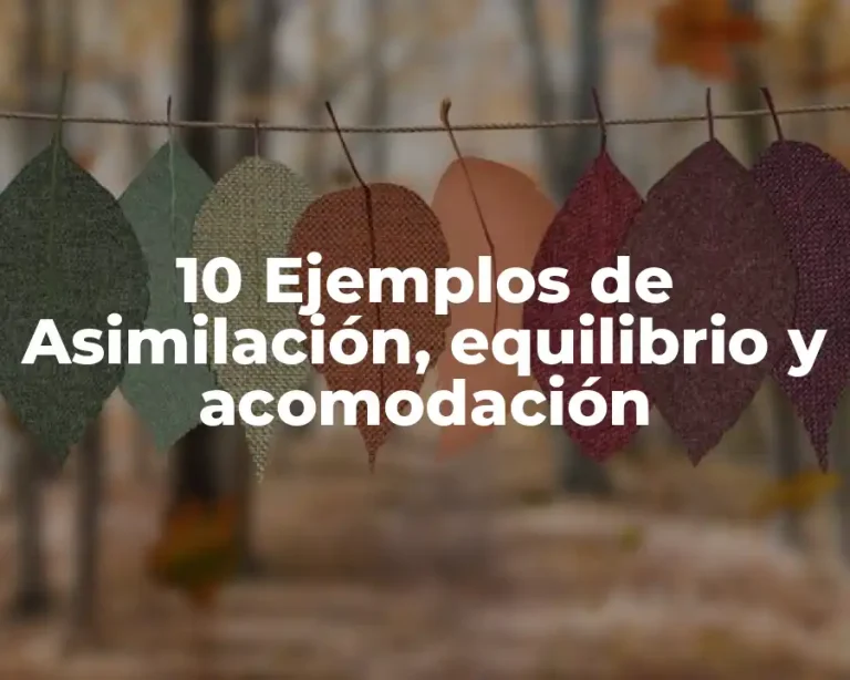 10 Ejemplos de Asimilación, equilibrio y acomodación