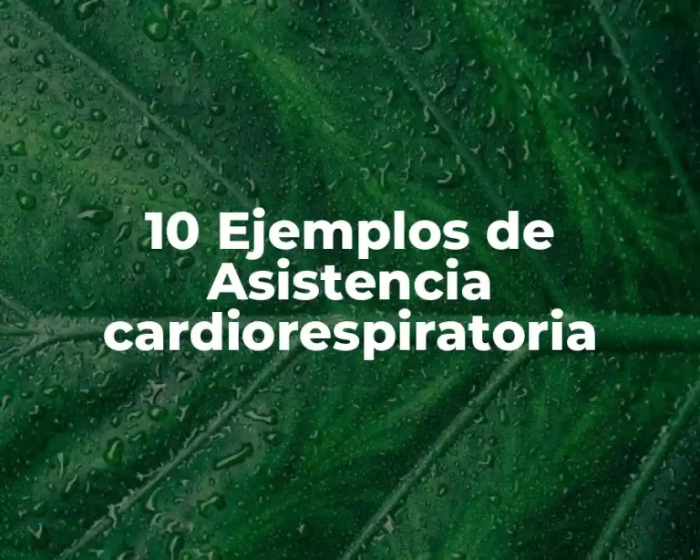 10 Ejemplos de Asistencia cardiorespiratoria