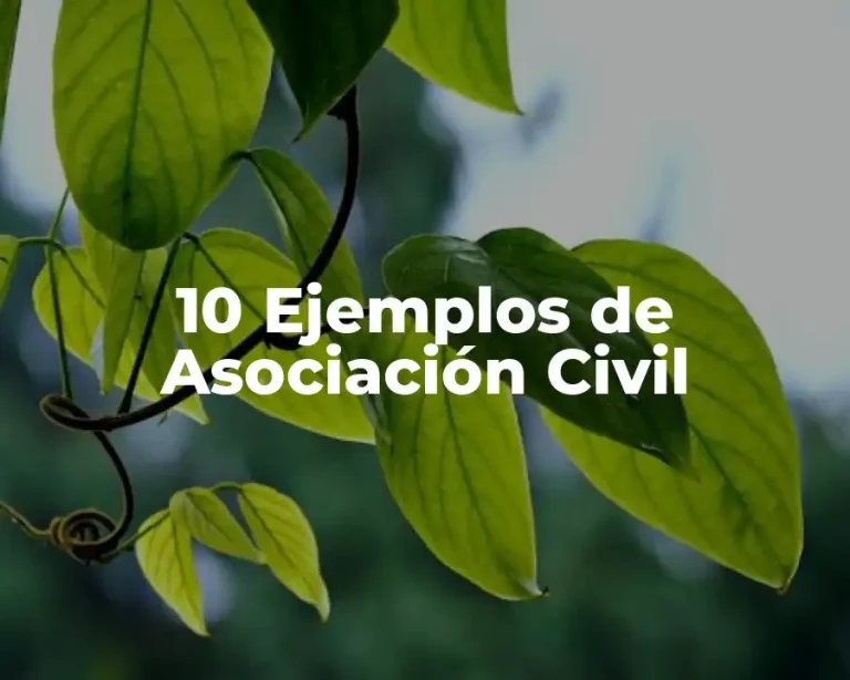 10 Ejemplos de Asociación Civil