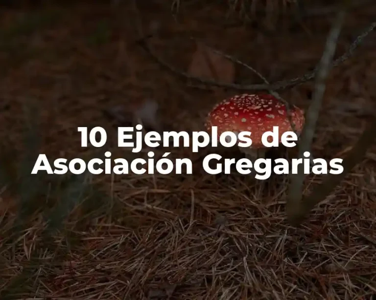 10 Ejemplos de Asociación Gregarias