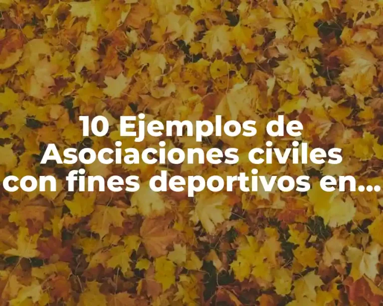 10 Ejemplos de Asociaciones civiles con fines deportivos en México