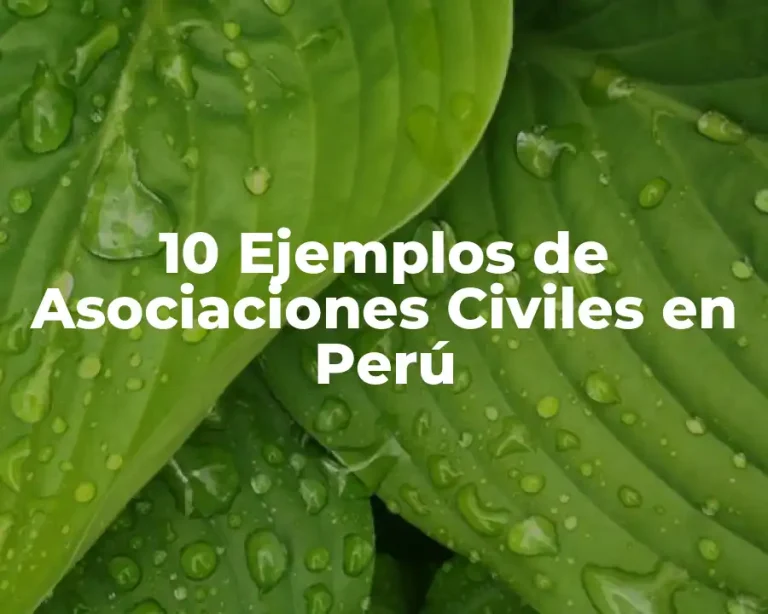 10 Ejemplos de Asociaciones Civiles en Perú