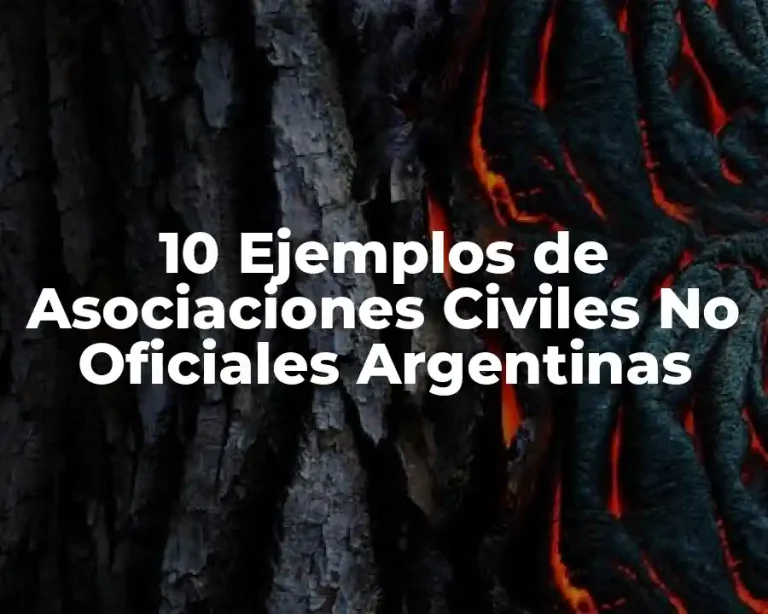 10 Ejemplos de Asociaciones Civiles No Oficiales Argentinas