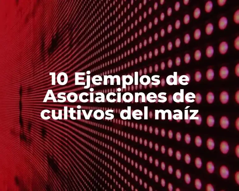 10 Ejemplos de Asociaciones de cultivos del maíz