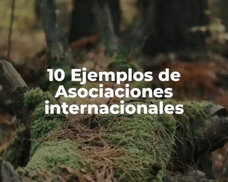10 Ejemplos de Asociaciones internacionales