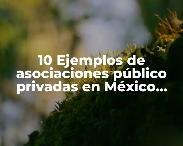 10 Ejemplos de asociaciones público privadas en México, Definición, Diferencias y para que sirve