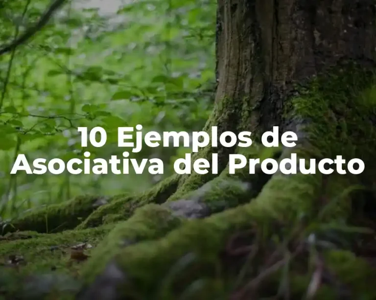 10 Ejemplos de Asociativa del Producto
