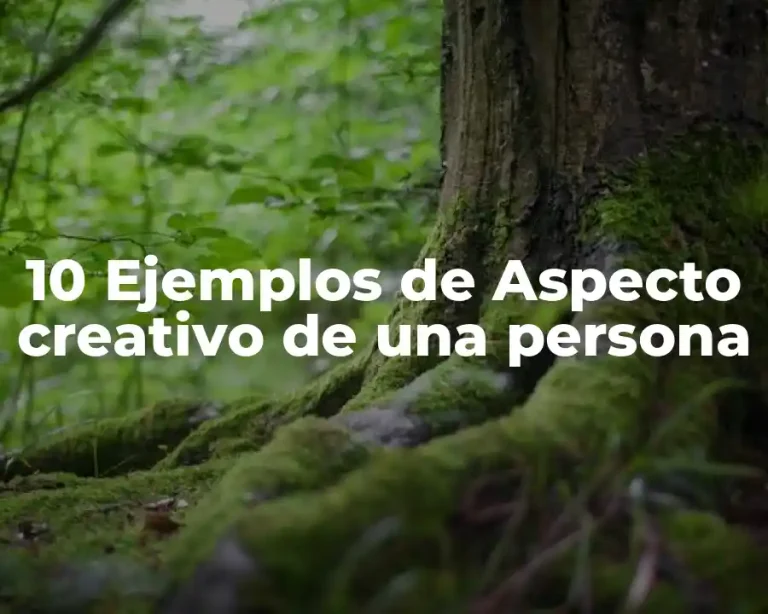 10 Ejemplos de Aspecto creativo de una persona