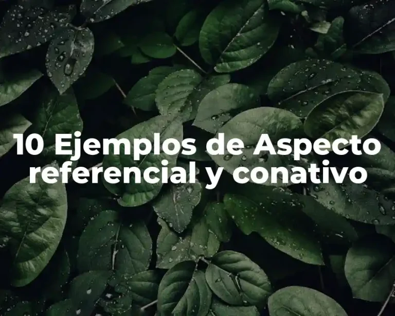10 Ejemplos de Aspecto referencial y conativo