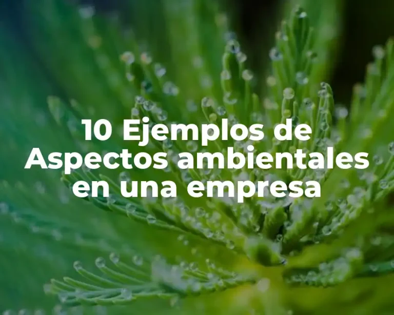10 Ejemplos de Aspectos ambientales en una empresa