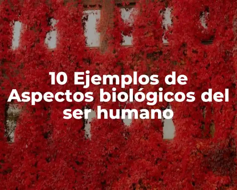 10 Ejemplos de Aspectos biológicos del ser humano