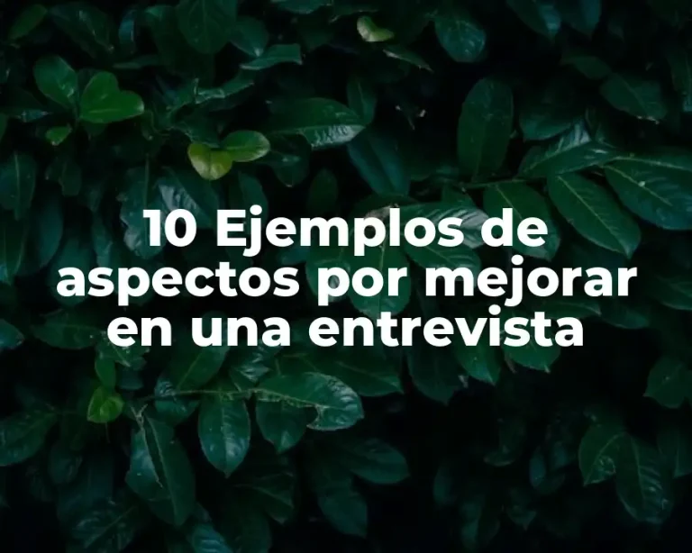 10 Ejemplos de aspectos por mejorar en una entrevista