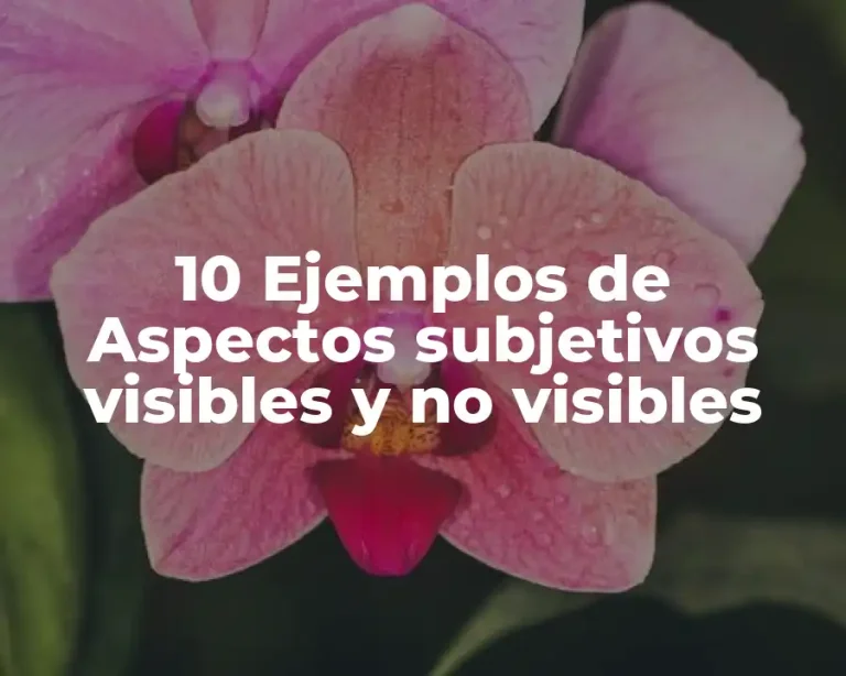 10 Ejemplos de Aspectos subjetivos visibles y no visibles