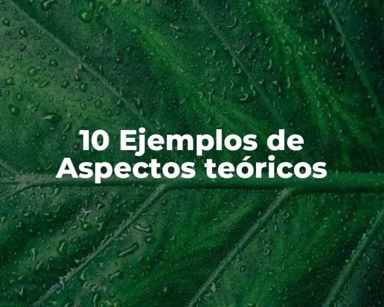 10 Ejemplos de Aspectos teóricos