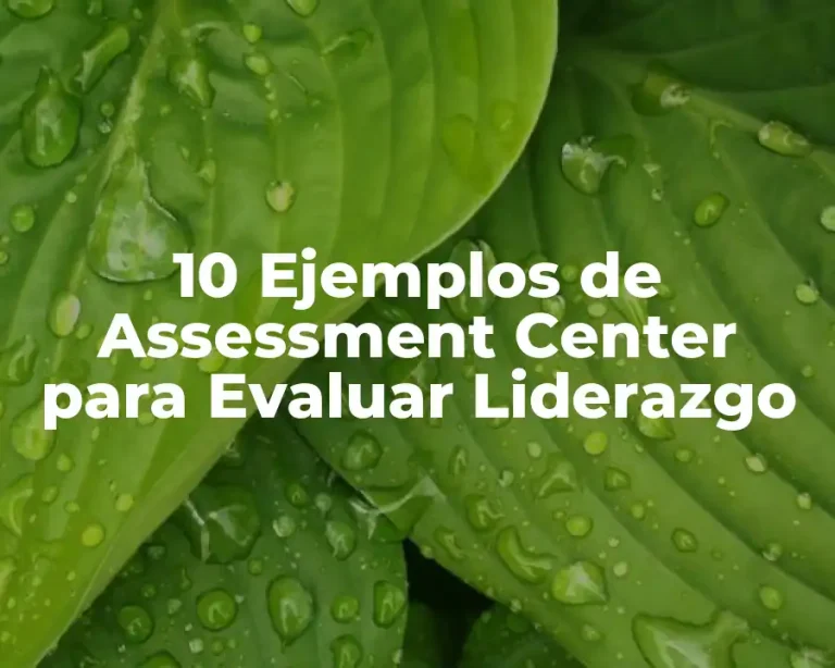10 Ejemplos de Assessment Center para Evaluar Liderazgo
