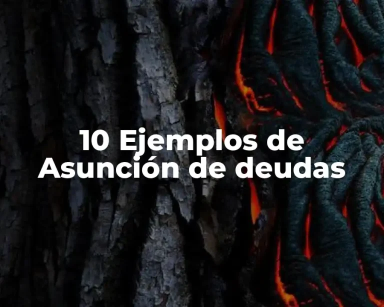 10 Ejemplos de Asunción de deudas