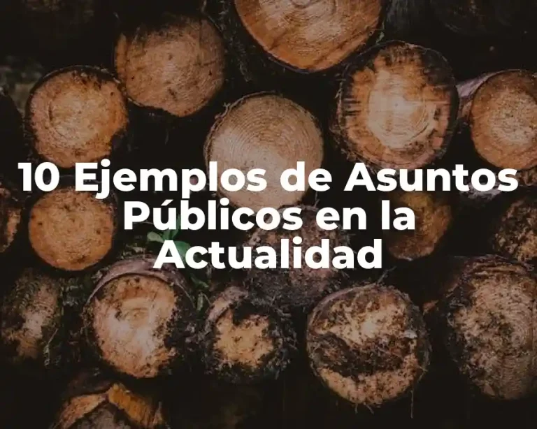 10 Ejemplos de Asuntos Públicos en la Actualidad