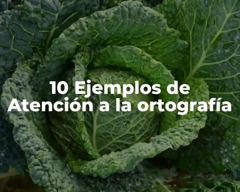 10 Ejemplos de Atención a la ortografía