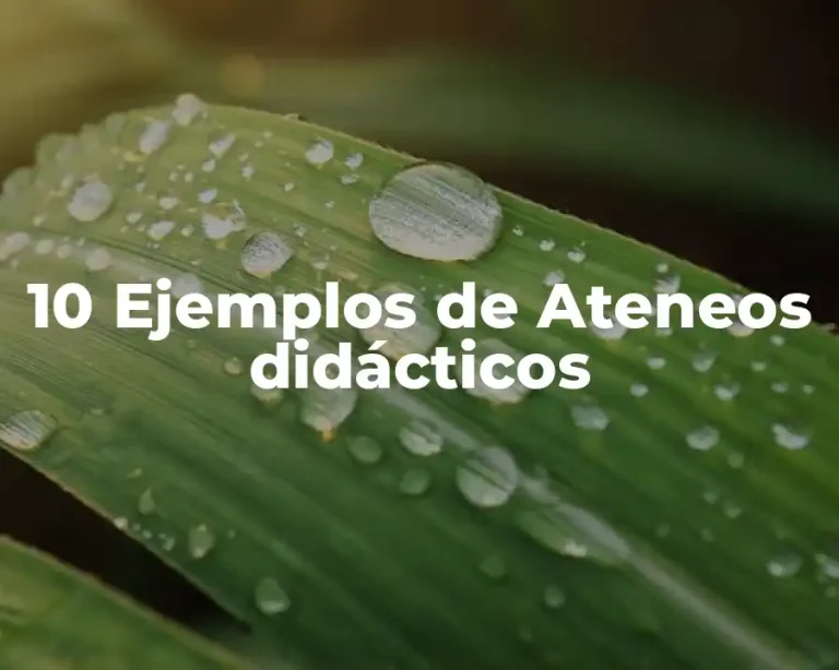 10 Ejemplos de Ateneos didácticos