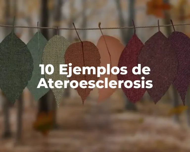 10 Ejemplos de Ateroesclerosis
