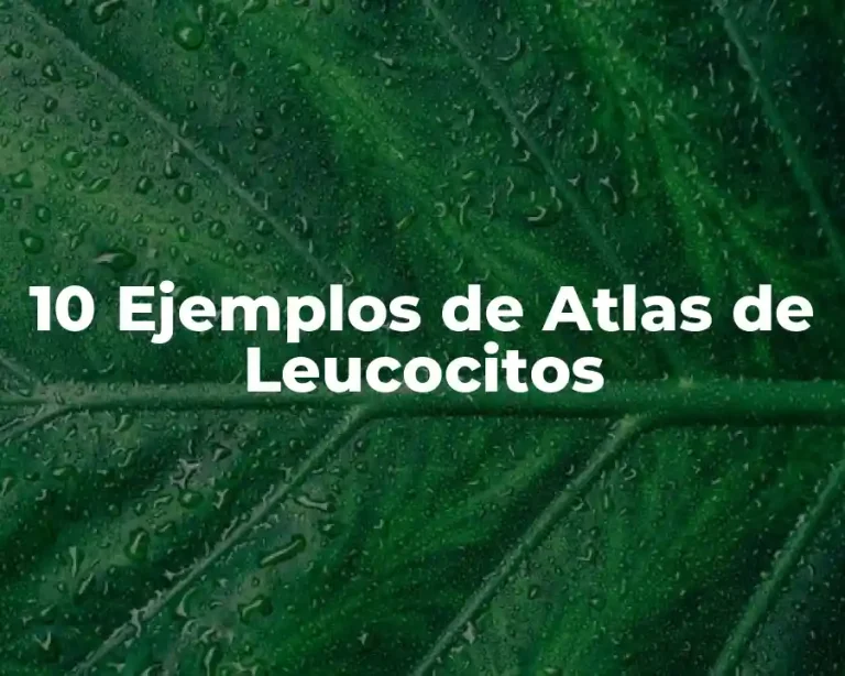 10 Ejemplos de Atlas de Leucocitos