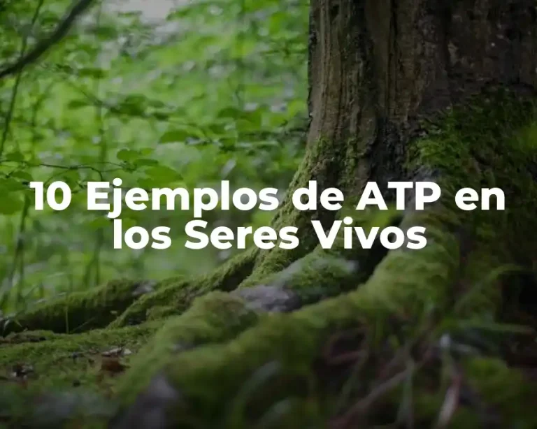 10 Ejemplos de ATP en los Seres Vivos