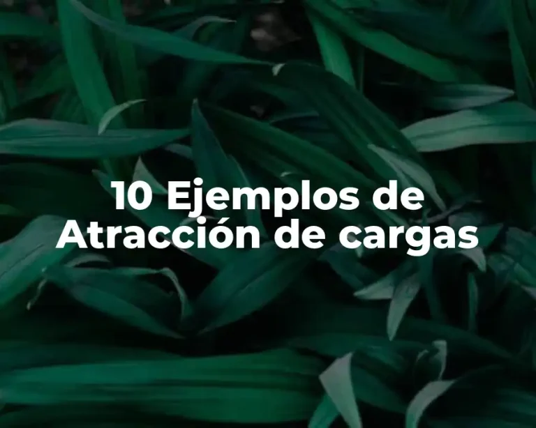 10 Ejemplos de Atracción de cargas