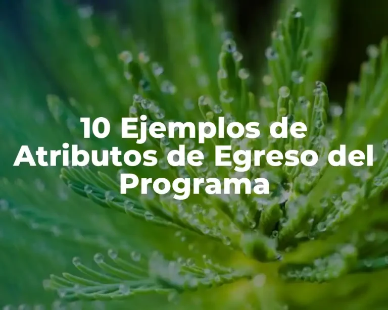 10 Ejemplos de Atributos de Egreso del Programa