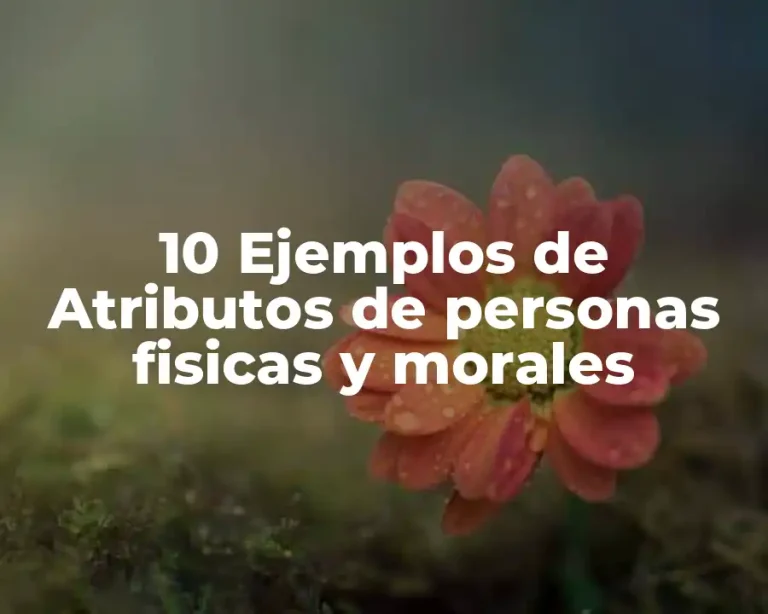 10 Ejemplos de Atributos de personas fisicas y morales