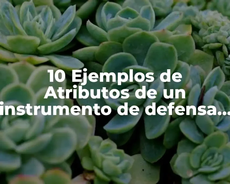 10 Ejemplos de Atributos de un instrumento de defensa personal