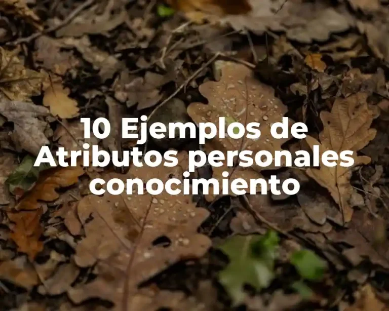 10 Ejemplos de Atributos personales conocimiento