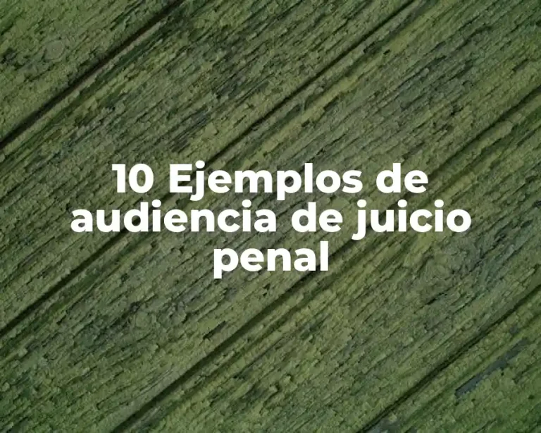 10 Ejemplos de audiencia de juicio penal