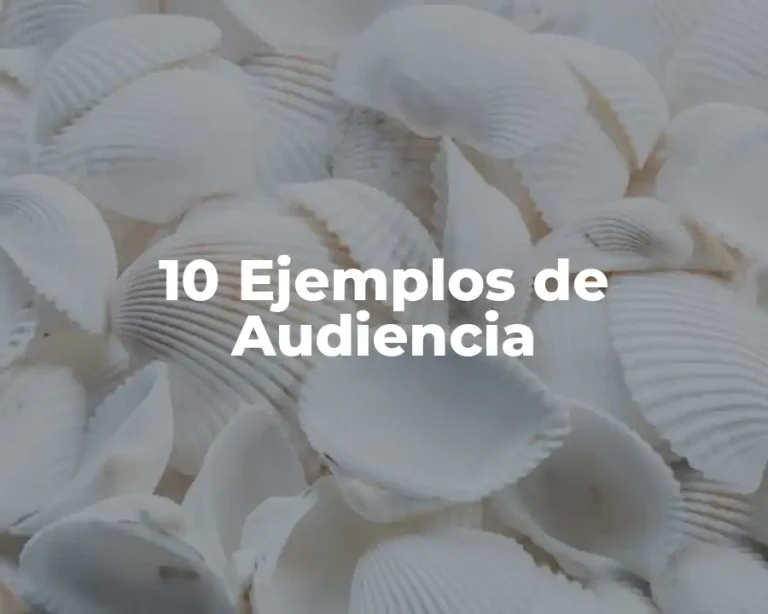 10 Ejemplos de Audiencia