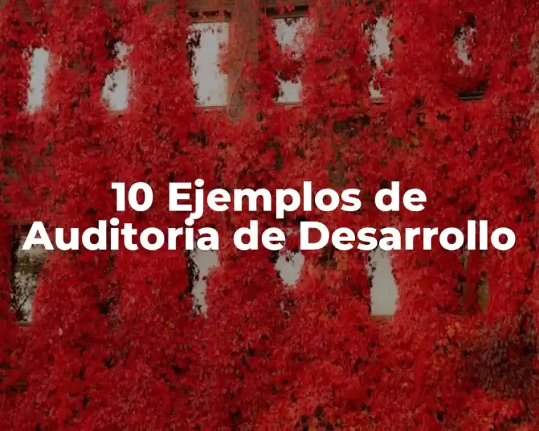 10 Ejemplos de Auditoria de Desarrollo