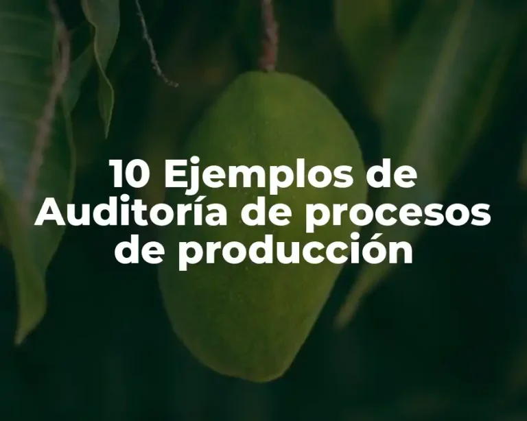 10 Ejemplos de Auditoría de procesos de producción