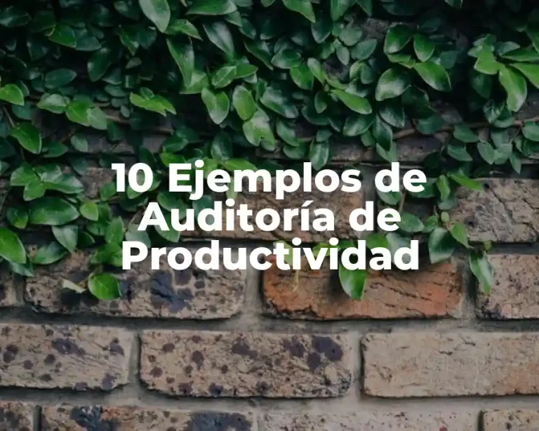 10 Ejemplos de Auditoría de Productividad