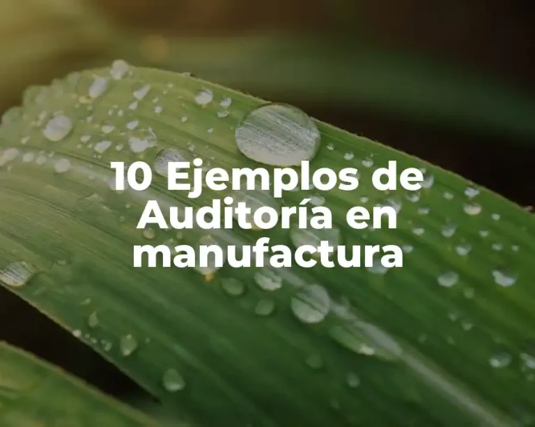 10 Ejemplos de Auditoría en manufactura