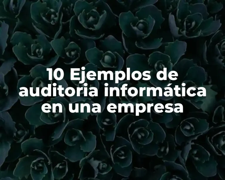 10 Ejemplos de auditoria informática en una empresa