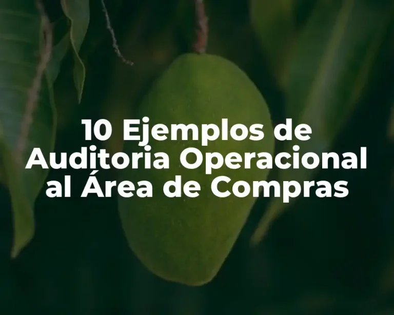 10 Ejemplos de Auditoria Operacional al Área de Compras