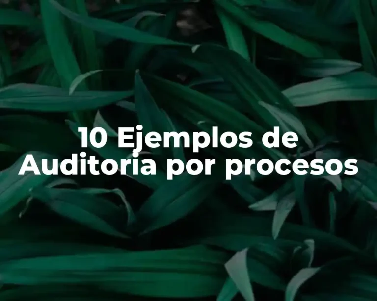 10 Ejemplos de Auditoria por procesos