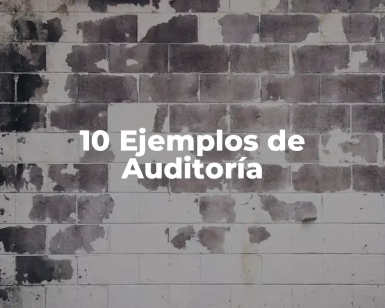 10 Ejemplos de Auditoría