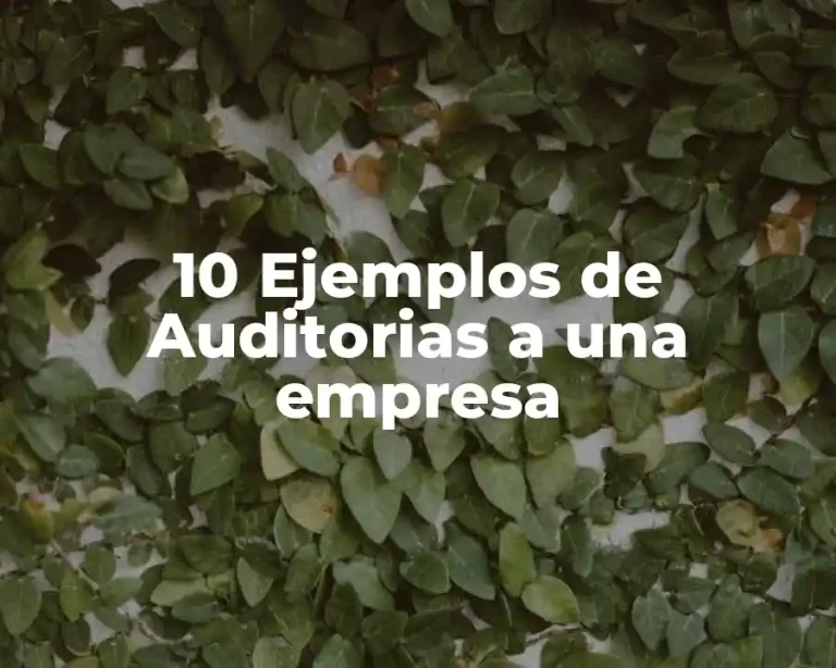 10 Ejemplos de Auditorias a una empresa