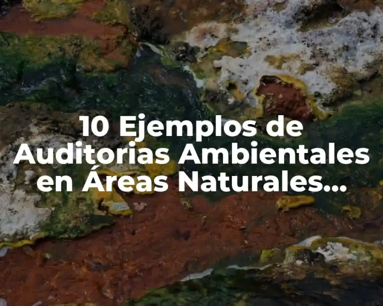 10 Ejemplos de Auditorias Ambientales en Áreas Naturales Protegidas