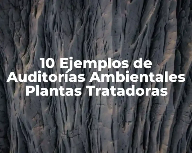 10 Ejemplos de Auditorías Ambientales Plantas Tratadoras
