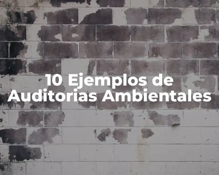 10 Ejemplos de Auditorias Ambientales