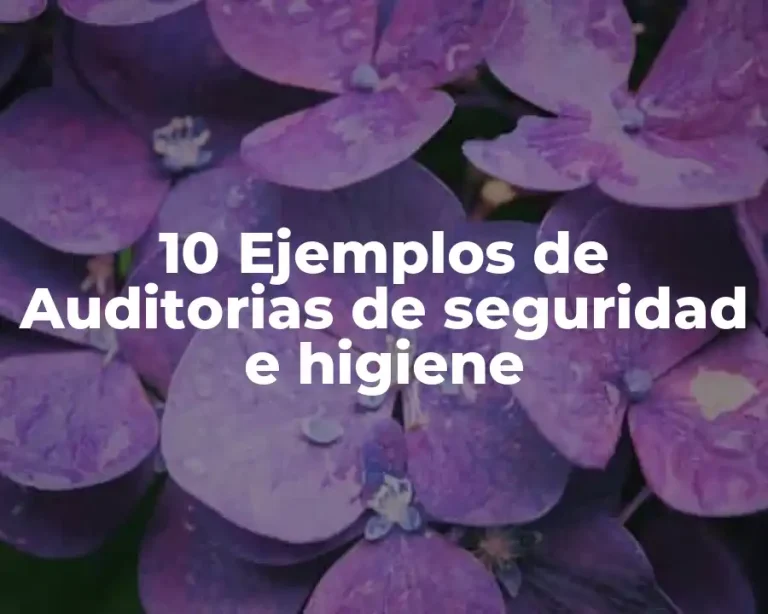 10 Ejemplos de Auditorias de seguridad e higiene