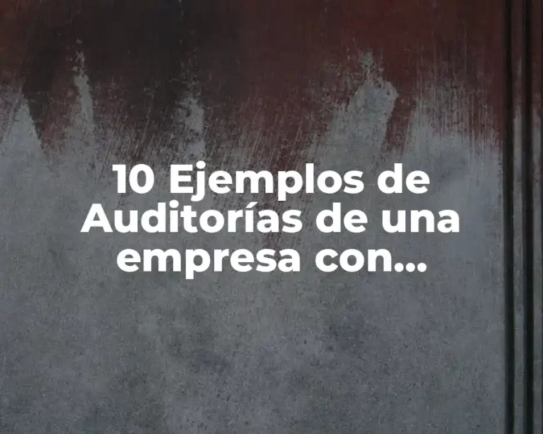 10 Ejemplos de Auditorías de una empresa con salvedades
